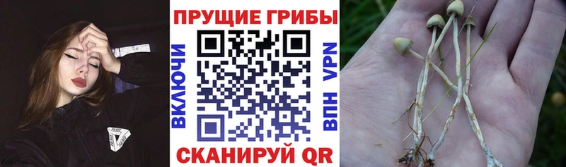 Галлюциногенные грибы ЛСД  мега зеркало  Кострома 